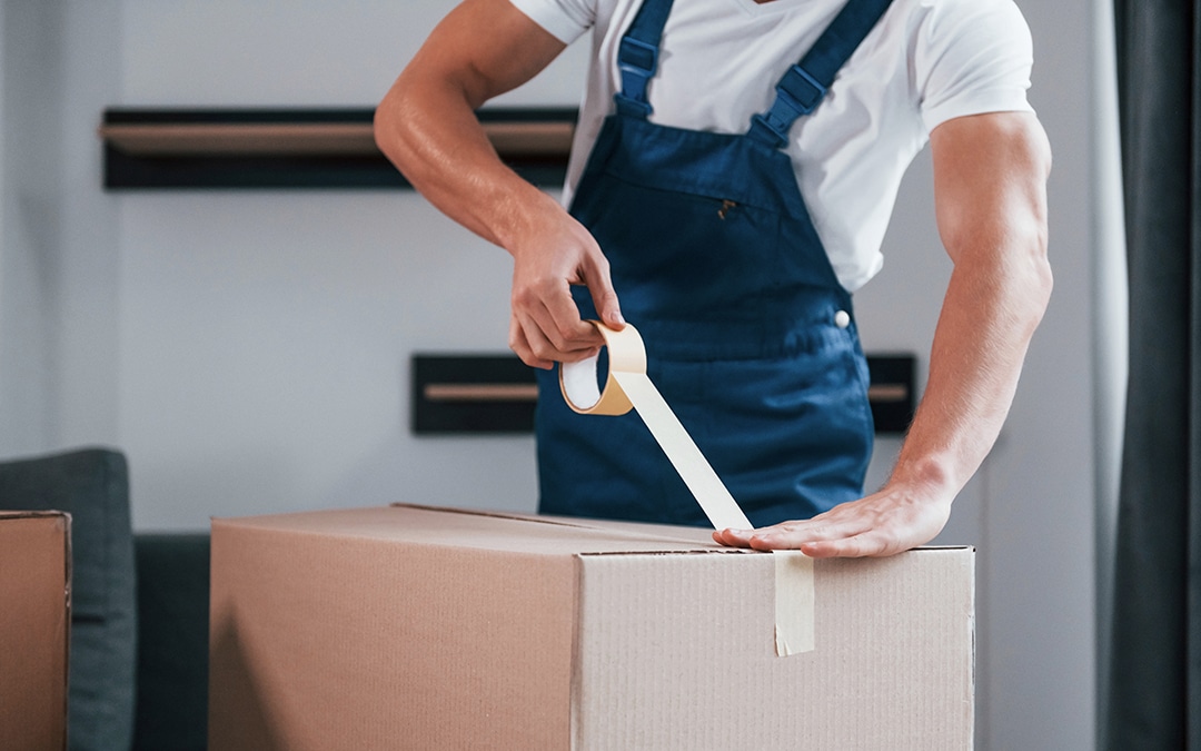 Professional Packing Services – Do You Need Them?